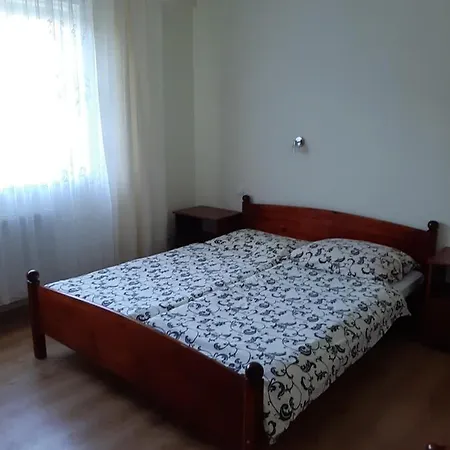 Apartamenty I Pokoje Willa Dafne Ciechocinek Exterior photo