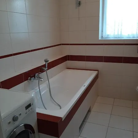 Apartamenty I Pokoje Willa Dafne Ciechocinek Exterior photo
