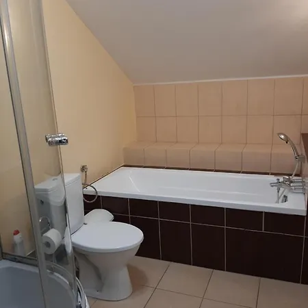 Apartamenty I Pokoje Willa Dafne Ciechocinek Exterior photo